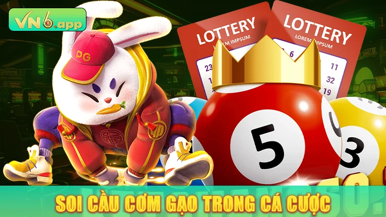 Lý do thu hút của soi cầu cơm gạo trong cá cược