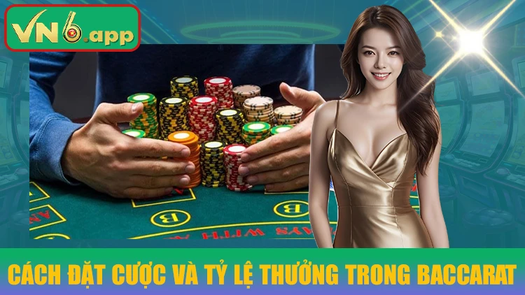 Cách đặt cược và tỷ lệ thưởng trong baccarat